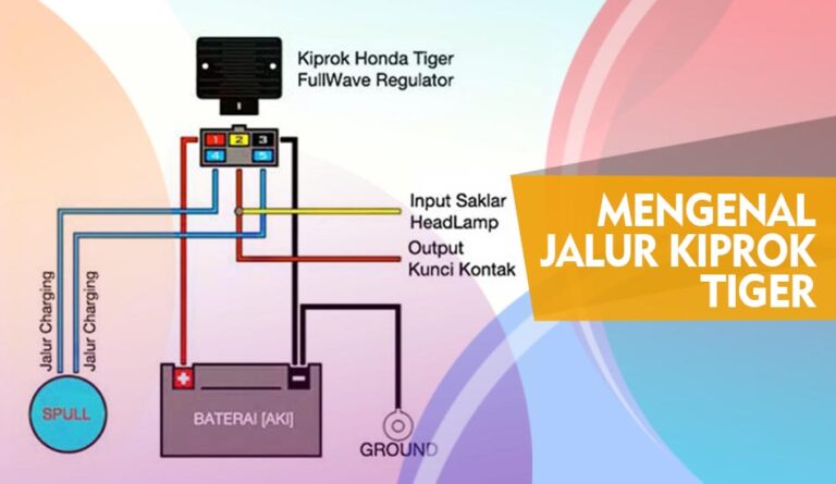 Skema Jalur Kiprok Tiger